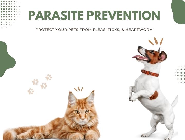 Putting Out Pet Parasites