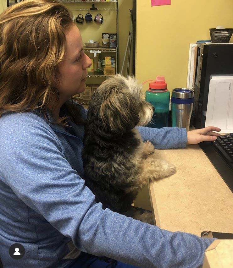 New Palestine Veterinary Clinic